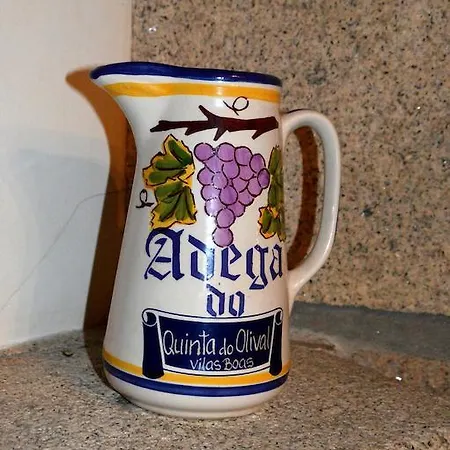 בית כפרי Quinta Do Olival Vilas Boas (Villa Real)